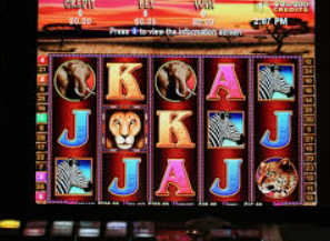 46倍狮子森林舞会桌面版客户端